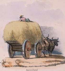 Agrícola de Robert Kent Thomas