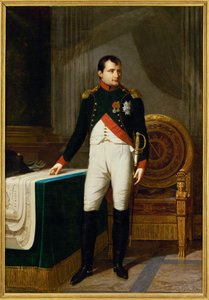 El Emperador Napoleón I como Coronel de los Chasseurs a cheval de la garde ... (pintura sobre lienzo) de Robert Lefevre