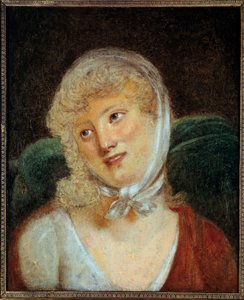 Retrato de Mary Laczinska, Condesa Walewska (1789 - 1817) de Robert Lefevre