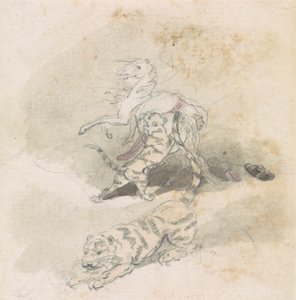 Un tigre ataca a un caballo