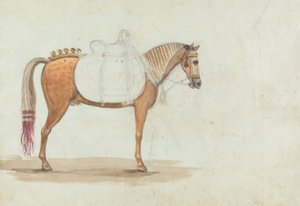 Boceto inacabado de un caballo ensillado de forma elaborada