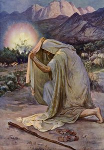 La Zarza Ardiente de Robert Payton Reid