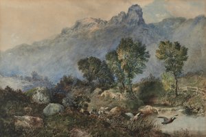 Paisaje con patos reales
