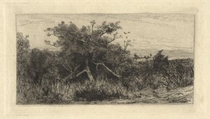 Árbol nudoso de Robert Swain Gifford