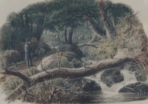  de Robert Walter Weir