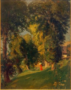 Paisaje de Parque