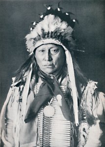 Un jefe sioux en su pintura de guerra, 1912 de Robert Wilson Shufeldt