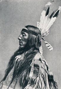 Vista de perfil de un Sioux, 1912 de Robert Wilson Shufeldt