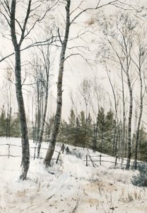 Dos figuras en un bosque invernal