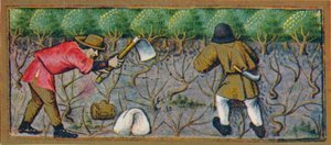 Marzo - trabajando en el viñedo, siglo XV, 1939 de Robinet Testard