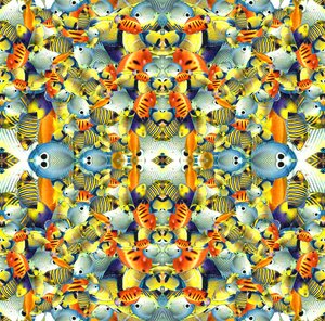 Azulejo de peces de caleidoscopio