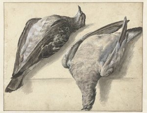 Dos palomas muertas de Rochus van Veen