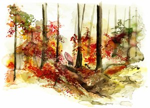 Viaje de surf por el bosque otoñal