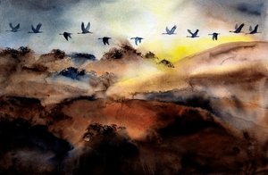Aves volando sobre las colinas de RodMacIver
