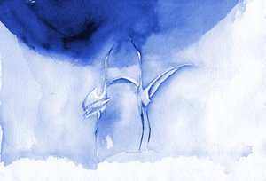 Elegantes grullas azules