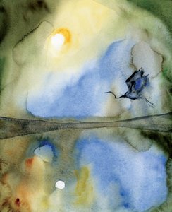 Reflejo de un pájaro etéreo de RodMacIver