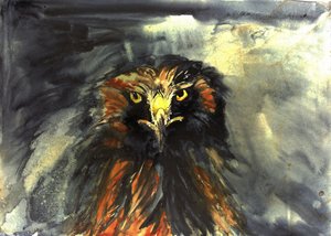 La mirada feroz del águila de RodMacIver