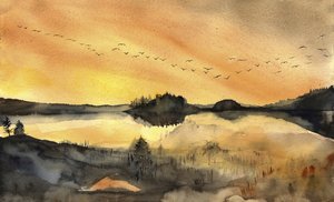  de RodMacIver