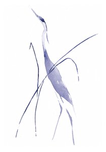  de RodMacIver