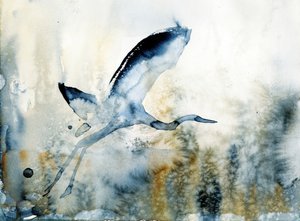 El elegante vuelo de la garza de RodMacIver
