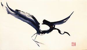  de RodMacIver