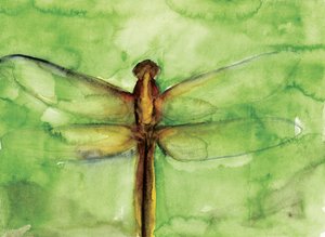 Acuarela de una libélula verde de RodMacIver