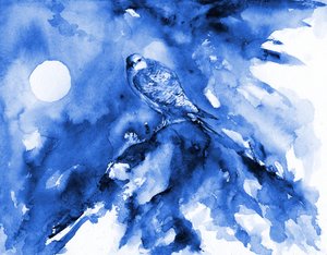 Halcón azul a la luz de la luna de RodMacIver