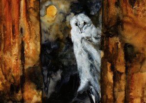 El abrazo del búho a la luz de la luna de RodMacIver