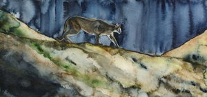 La caza nocturna del puma de RodMacIver
