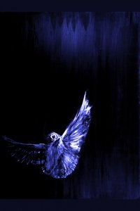 El vuelo del búho azul místico de RodMacIver
