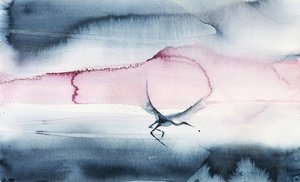 El vuelo del pájaro del cielo rosa de RodMacIver