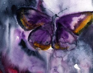 El sueño de la mariposa morada de RodMacIver