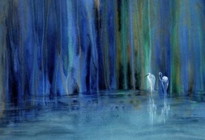 Garcetas azules del bosque de RodMacIver