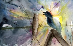 Amanecer de pájaros cantores de RodMacIver