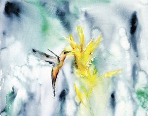 Flor vibrante del colibrí de RodMacIver