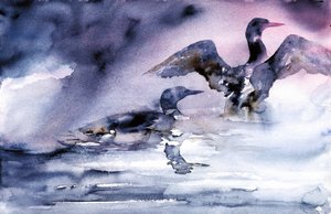 Aves acuáticas al atardecer de RodMacIver