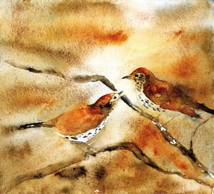  de RodMacIver