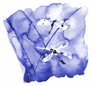Libélulas azules en acuarela