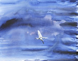 Garza blanca y cielo azul de RodMacIver