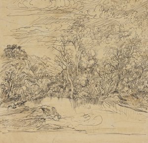Orilla de un estanque de Rodolphe Bresdin