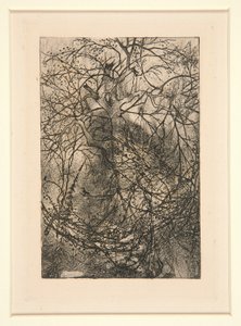 Sucursales de Rodolphe Bresdin