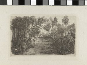 Paisaje con arroyo y árboles en las orillas
El curso de agua de Rodolphe Bresdin