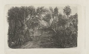 Paisaje con arroyo y árboles en las orillas
El curso de agua de Rodolphe Bresdin
