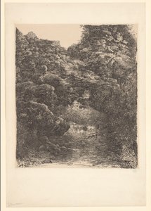 Paisaje rocoso con arroyo y cascada
El regalo de Rodolphe Bresdin