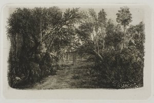 El arroyo de Rodolphe Bresdin