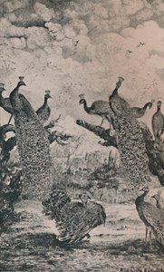 Los Pavos Reales, 1869, 1946 de Rodolphe Bresdin