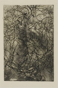 Ramas de Árboles de Rodolphe Bresdin