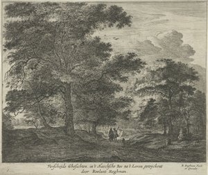Camino forestal en Haagse Bos Verscheÿde Ghesichten in 