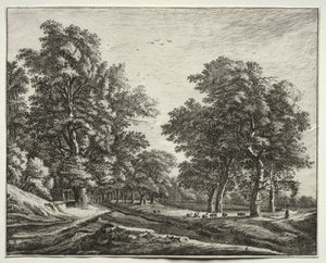 Seis vistas en el bosque de La Haya: cabras bajo los árboles de Roelant Roghman
