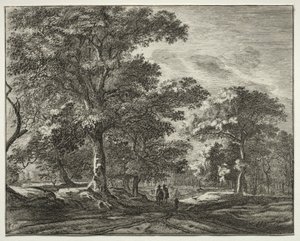 Seis vistas en el Bosque de La Haya (serie) de Roelant Roghman
